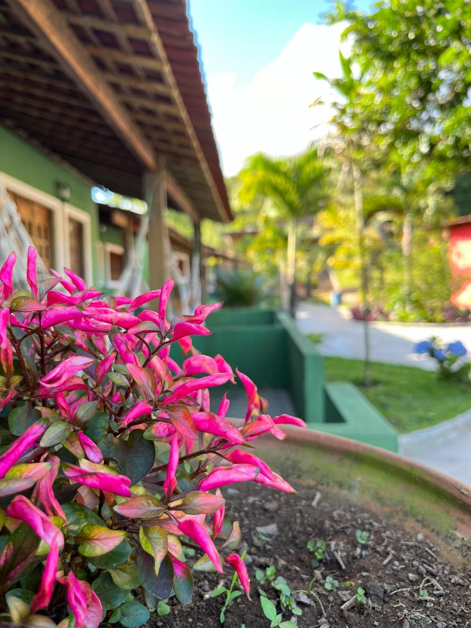 Pousada E Restaurante Alto Da Serra Bonito  Eksteriør billede