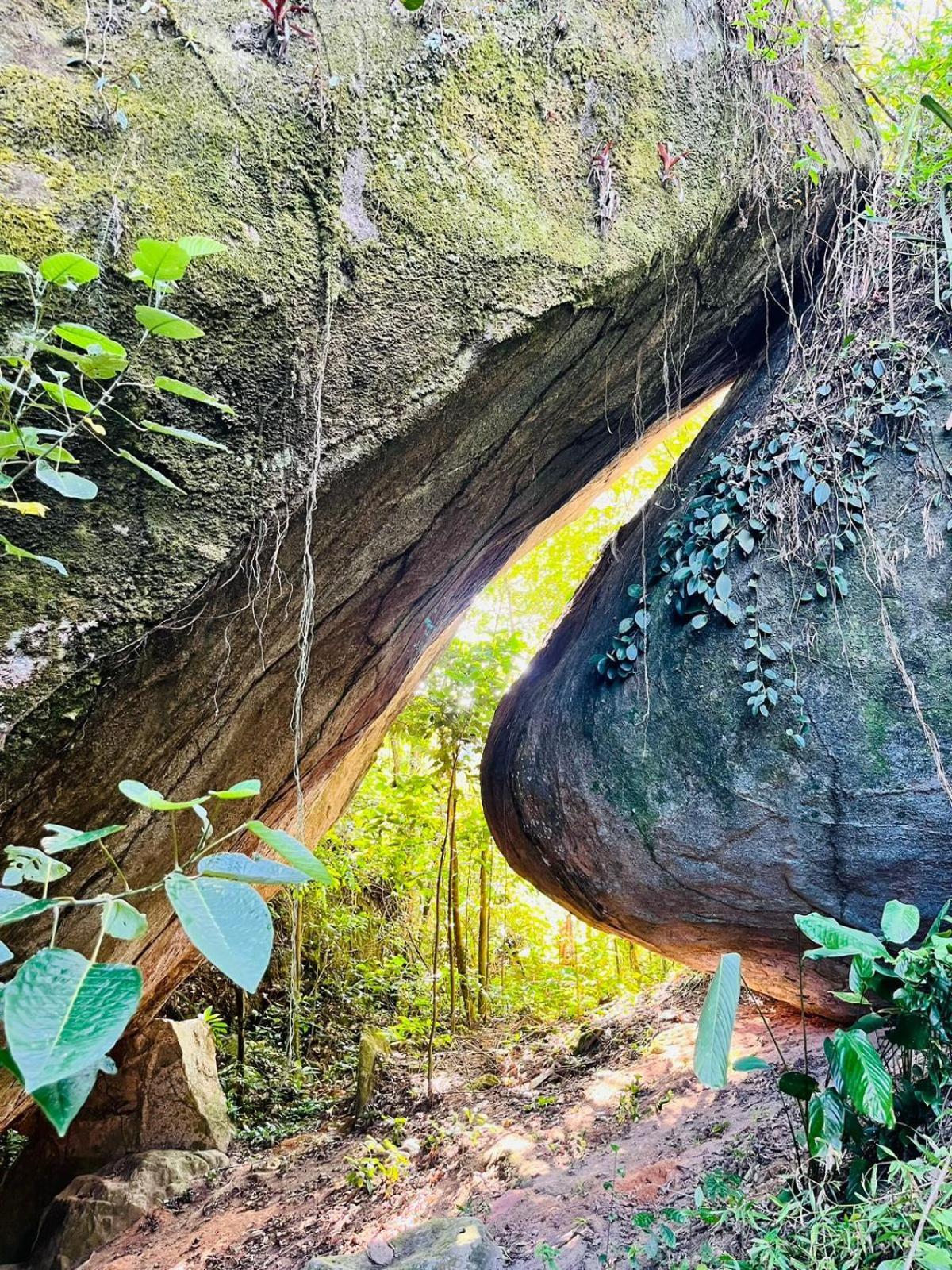 Pousada E Restaurante Alto Da Serra Bonito  Eksteriør billede